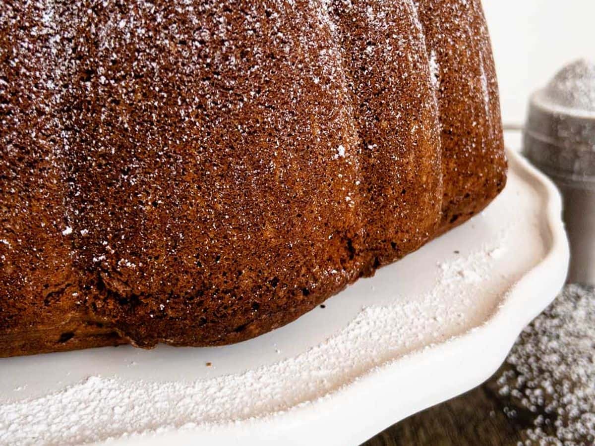 chocolate pound cake shown from the side with powdered sugar on top