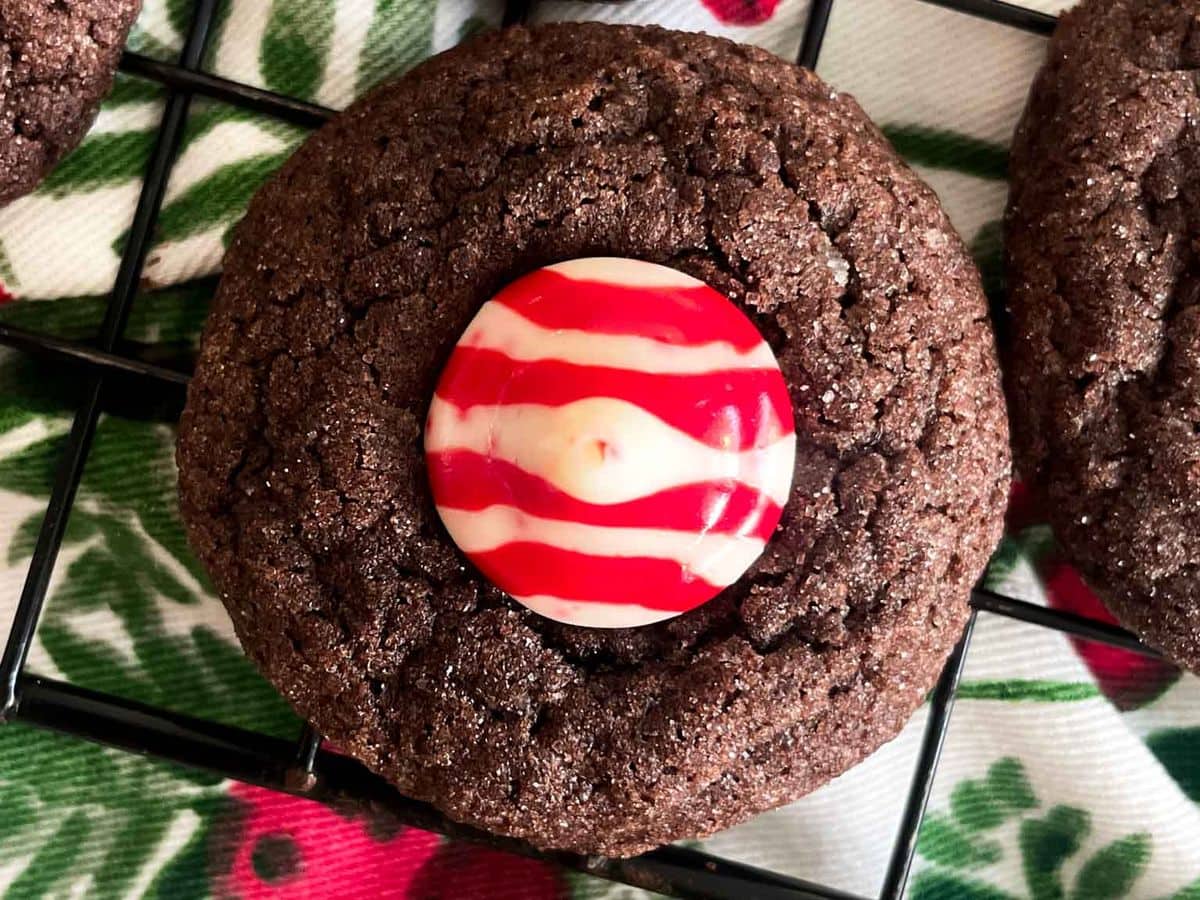 single chocolate peppermint. blossom