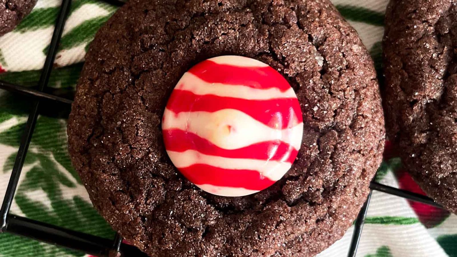 single chocolate peppermint. blossom