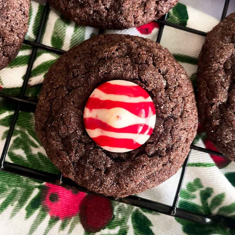 single chocolate peppermint. blossom
