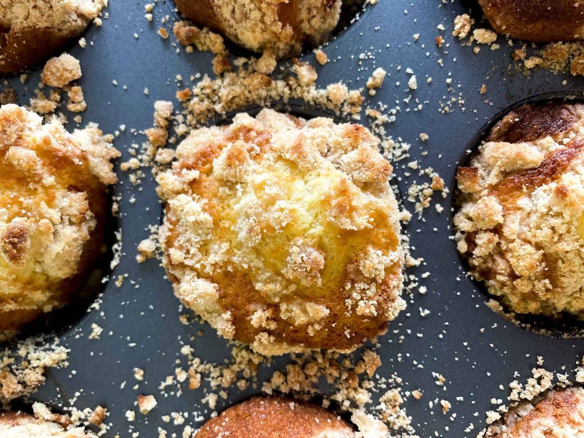 Cinnamon Crumb Muffins