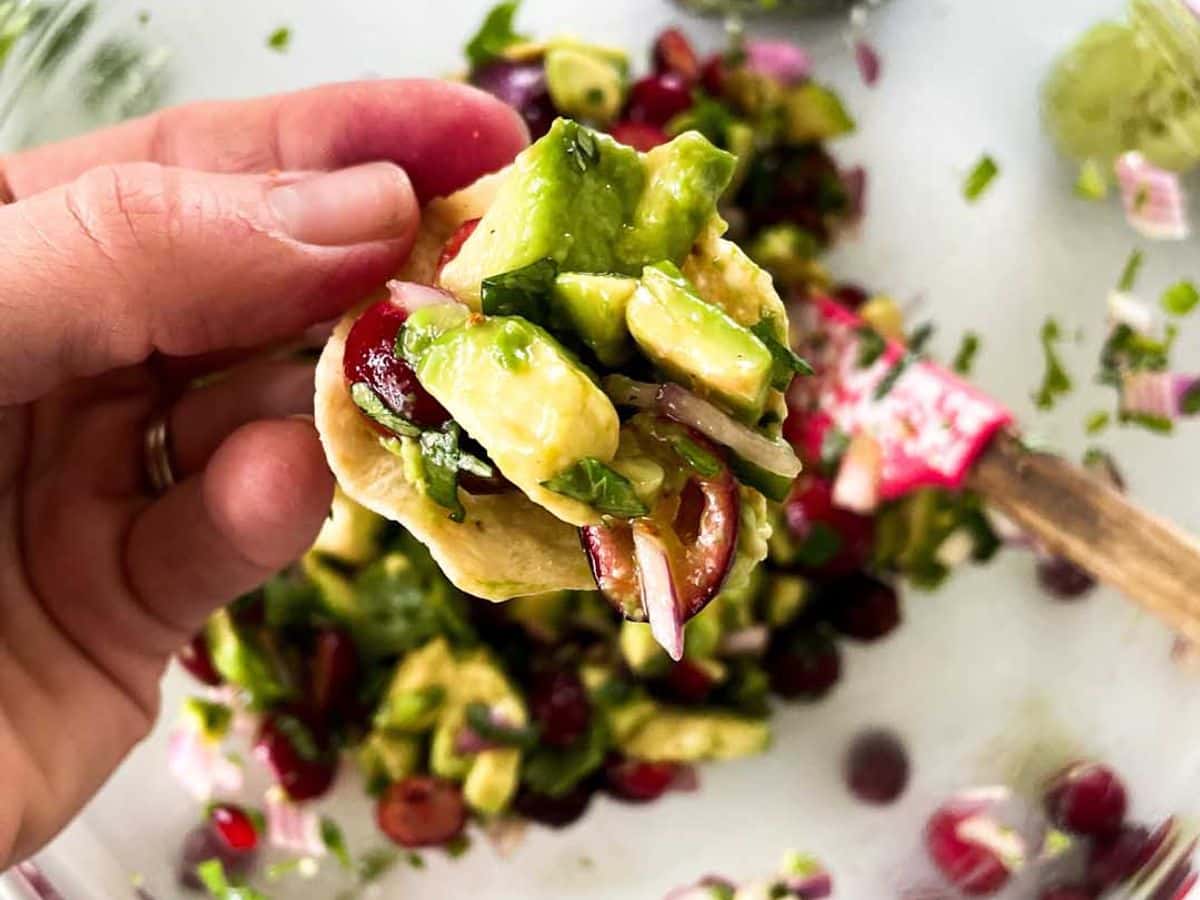 cranberry avocado salsa on a chip ready to eat