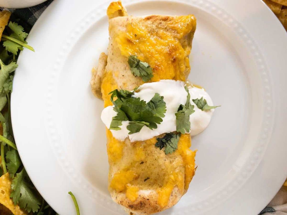 Creamy Chicken Enchiladas