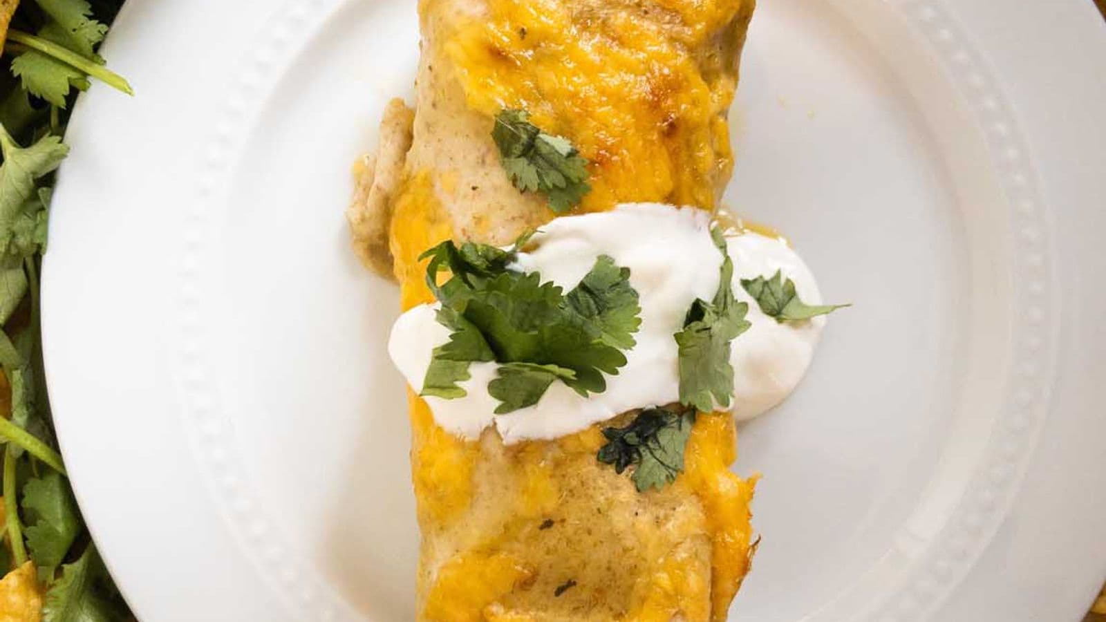 Creamy Chicken Enchiladas