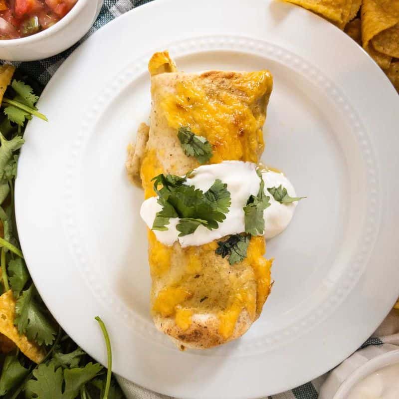 Creamy Chicken Enchiladas