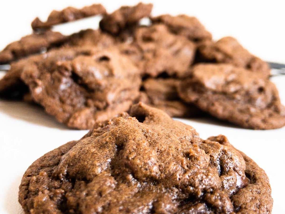 double chocolate chip cookies close up of single cookie with other cookies blurred in background