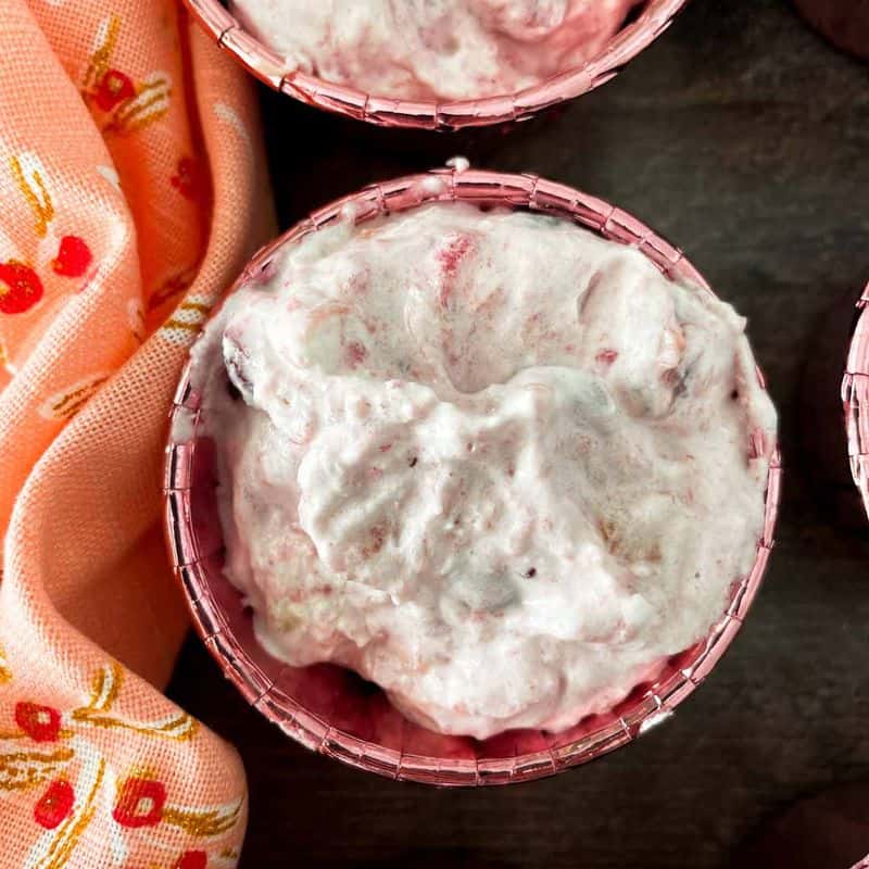 single cup of frozen cranberry salad