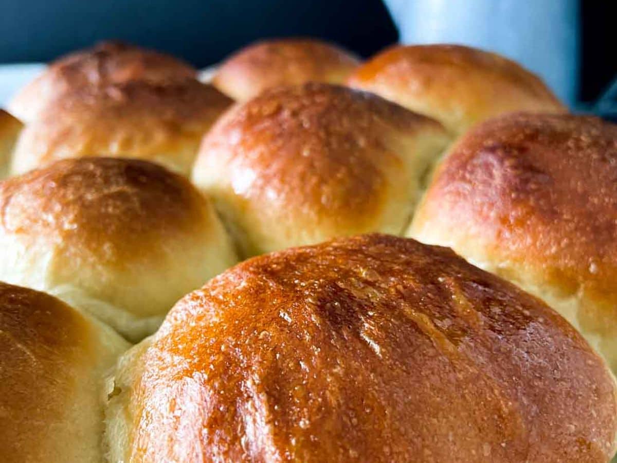 closeup of honey yeast rolls in pan