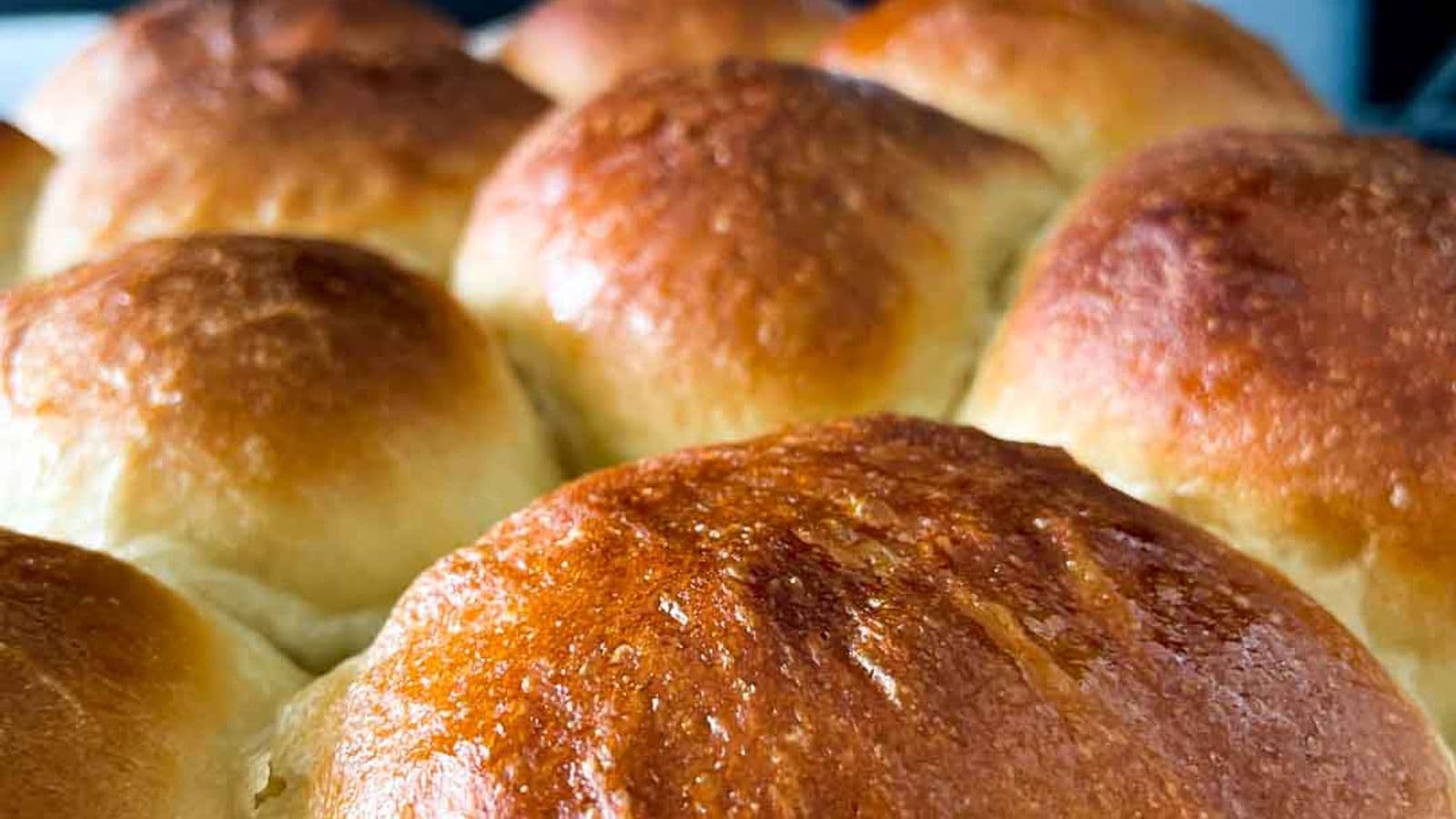 closeup of honey yeast rolls in pan