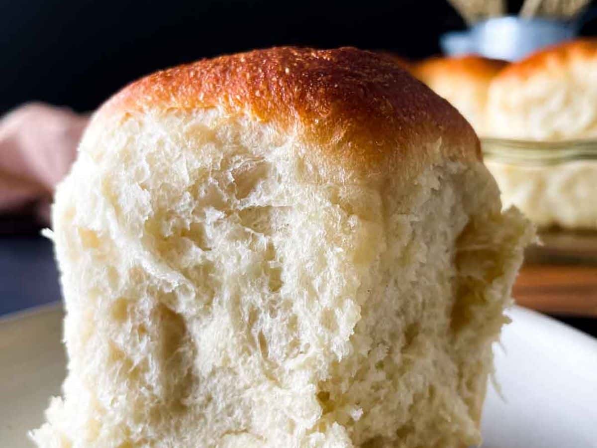 close up of individual honey yeast roll with golden brown top