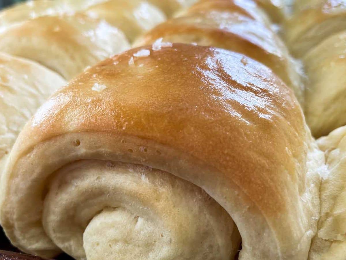 close up of buttery lion house dinner rolls