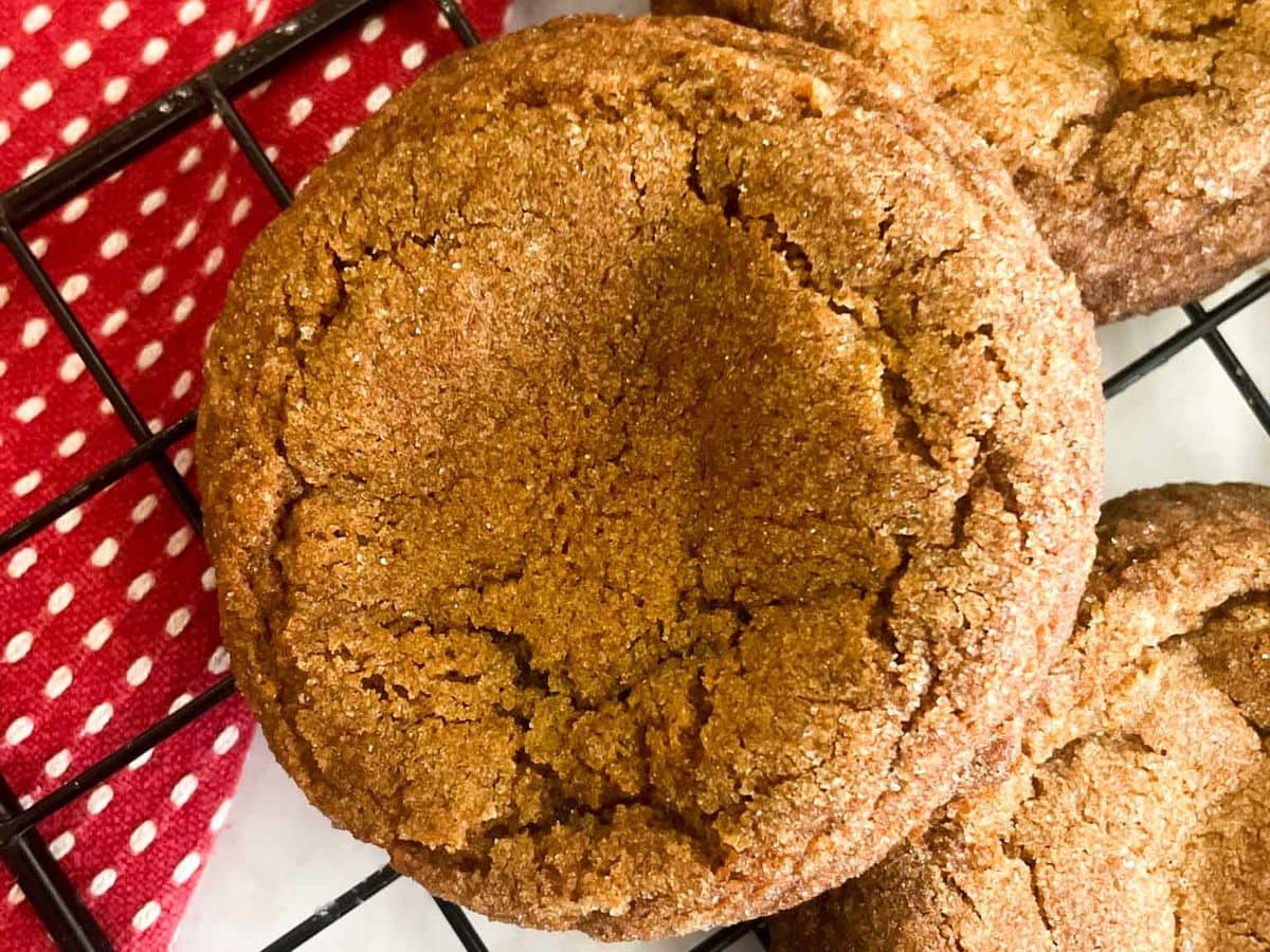 closeup of molasses sugar cookie
