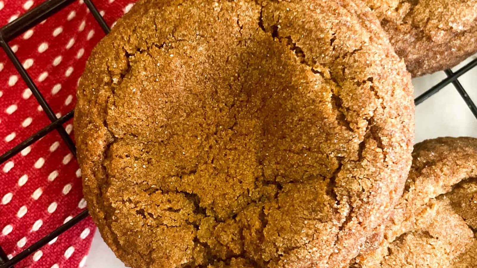 closeup of molasses sugar cookie