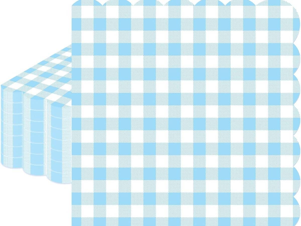 Blue Gingham Napkins — shop on Amazon