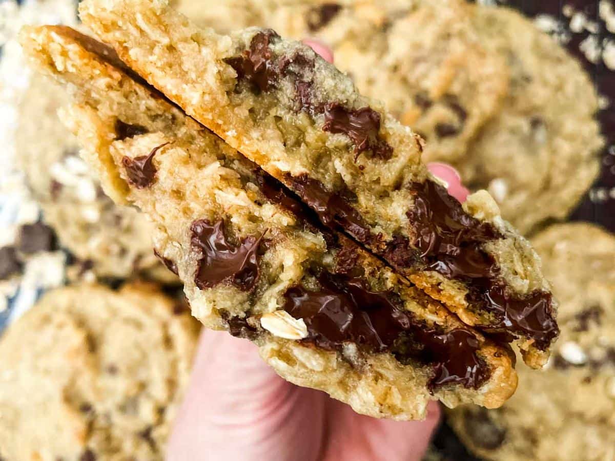close up of an oatmeal chocolate chip cookie broken in half