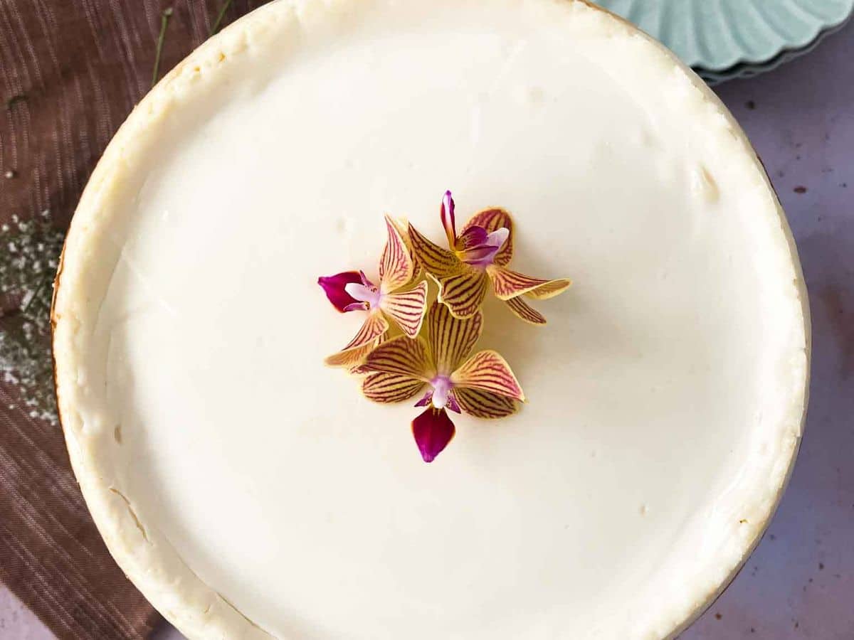 Sour Cream Cheesecake