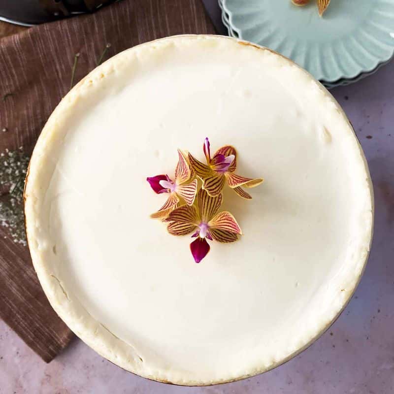 Sour Cream Cheesecake